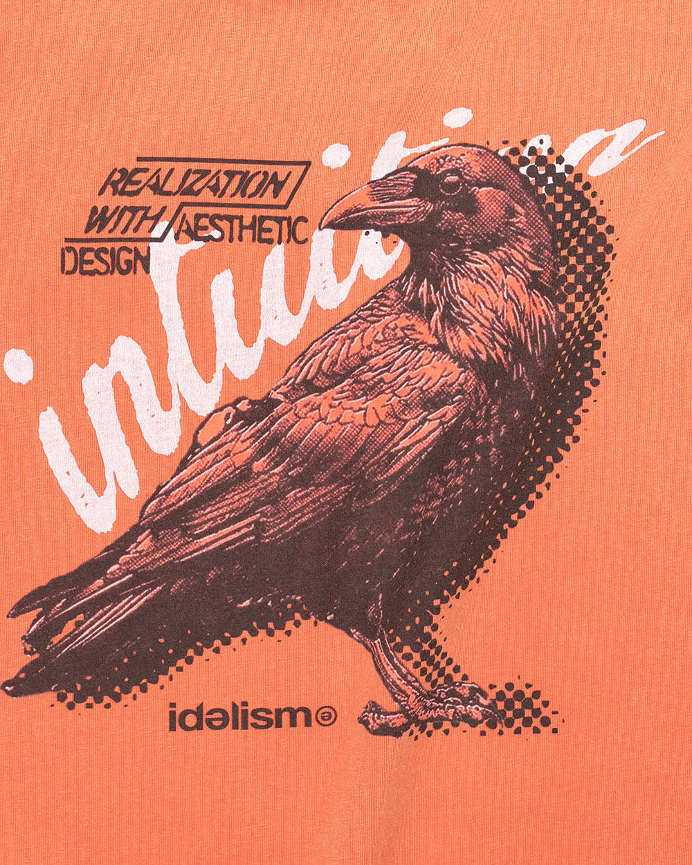 IDE Crow Wash Tee/烏鴉水洗短Tee