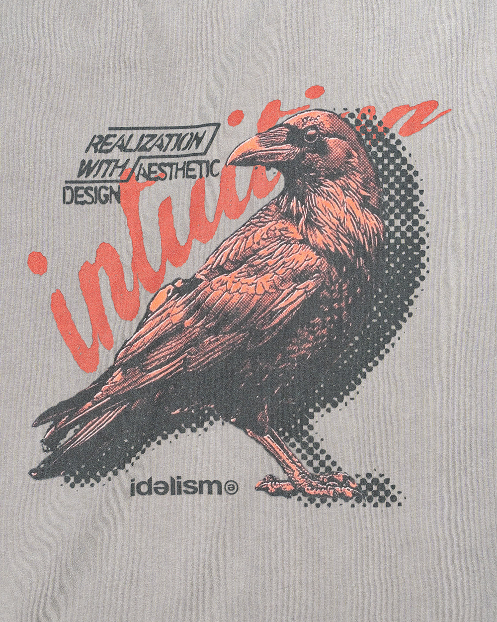 IDE Crow Wash Tee/烏鴉水洗短Tee