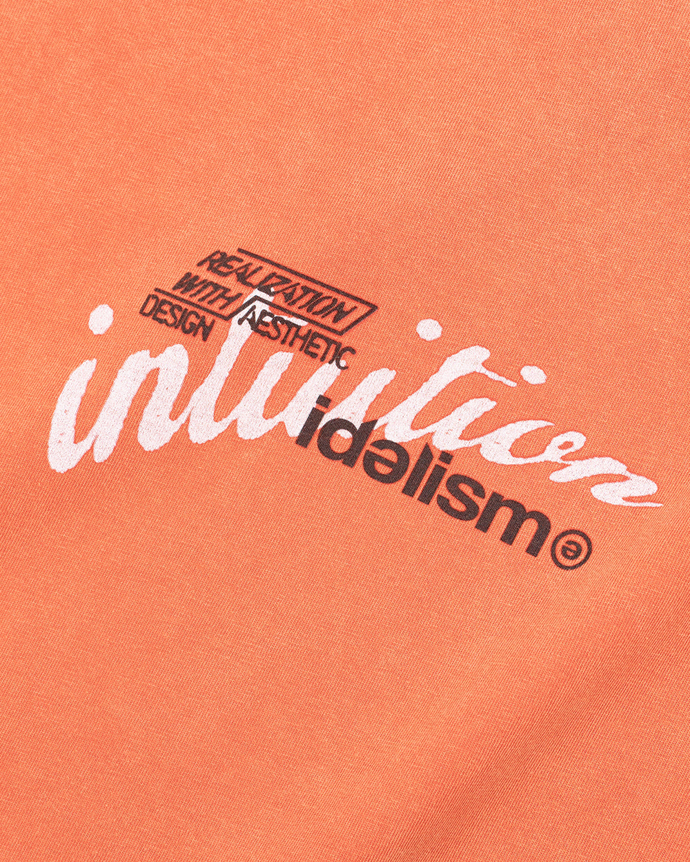 IDE Crow Wash Tee/烏鴉水洗短Tee